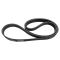 Serpentine Belt