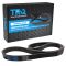 Serpentine Belt