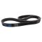 Serpentine Belt