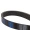 Serpentine Belt