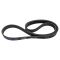 Serpentine Belt
