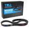 Serpentine Belt