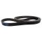 Serpentine Belt