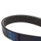 Serpentine Belt