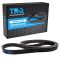 Serpentine Belt