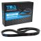 Serpentine Belt