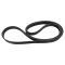 Serpentine Belt