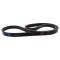 Serpentine Belt
