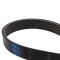 Serpentine Belt