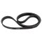 Serpentine Belt
