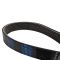 Serpentine Belt