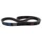 Serpentine Belt