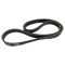 Serpentine Belt