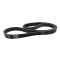 Serpentine Belt