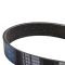 Serpentine Belt