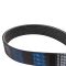 Serpentine Belt