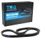 Serpentine Belt