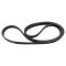 Serpentine Belt