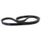 Serpentine Belt