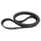 Serpentine Belt