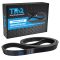Serpentine Belt