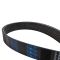 Serpentine Belt