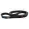 Serpentine Belt