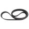 Serpentine Belt