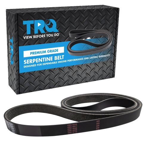 Serpentine Belt