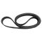 Serpentine Belt
