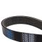 Serpentine Belt