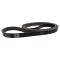 Serpentine Belt