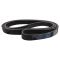 Serpentine Belt