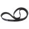 Serpentine Belt