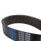 Serpentine Belt