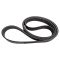 Serpentine Belt