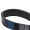 Serpentine Belt