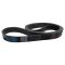 Serpentine Belt