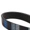 Serpentine Belt