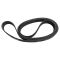 Serpentine Belt