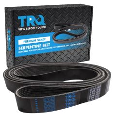 Serpentine Belt