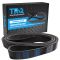 Serpentine Belt