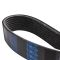 Serpentine Belt
