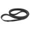 Serpentine Belt