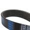 Serpentine Belt