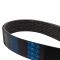 Serpentine Belt