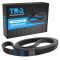 Serpentine Belt