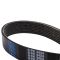 Serpentine Belt