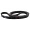 Serpentine Belt