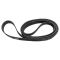 Serpentine Belt